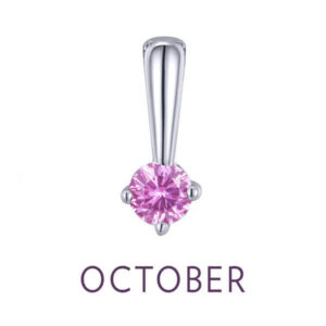 Birthstone Love Charm, featuring a simulated garnet in sterling silver bonded with platinum.