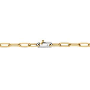 Small gold linked oval chain necklace with white gold closure