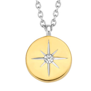 Round gold plated pendant with a white zirconia centerpiece and star engravings all around it. A luminous guiding light you can always turn to for direction. Its perfect disk shape hangs delicately on a thin silver chain.