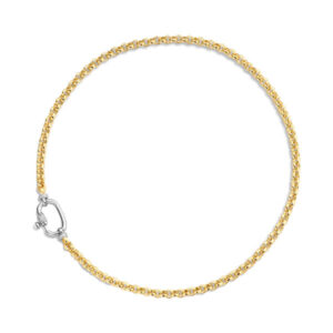Silver Rolo chain necklace has a stream of gold-plated links.