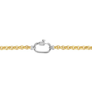 Silver Rolo chain necklace has a stream of gold-plated links.
