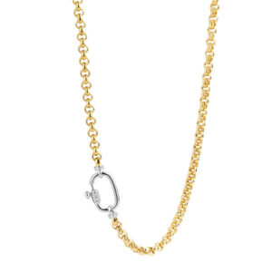 Silver Rolo chain necklace has a stream of gold-plated links.