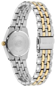 Two-tone stainless steel with blue dial and luminous hands.