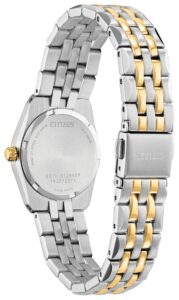 Two-tone stainless steel with black dial.