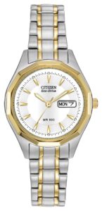 Two-tone stainless steel with white dial and luminous hands and markers