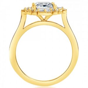 Natural diamond engagement ring set with brilliant cut, oval cut and shield cut diamond melee and an emerald cut center diamond 